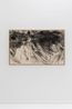 TMLPS26 by Aythamy Armas contemporary artwork Drawing