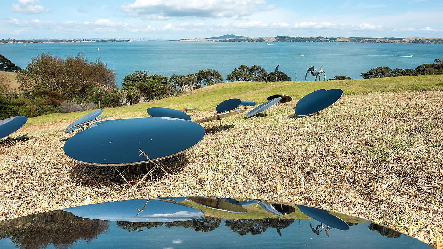 Waiheke Sculpture on the Gulf 2022: In Photos