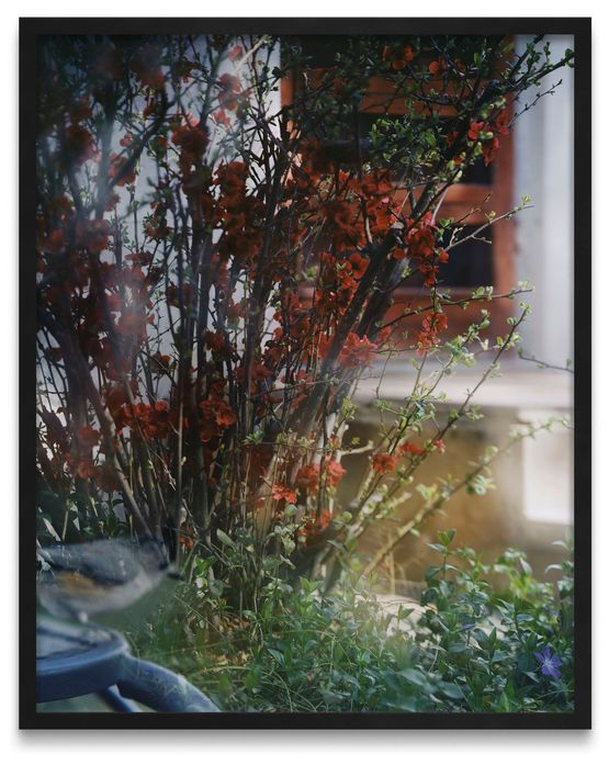 N 286 1 Fevrier 2005 by Jean-Luc Mylayne contemporary artwork Works on Paper
