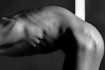 Robert Mapplethorpe contemporary artist