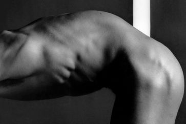 Robert Mapplethorpe contemporary artist