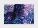Streetlamp by Ziva Jelin contemporary artwork Painting