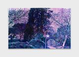 Streetlamp by Ziva Jelin contemporary artwork painting