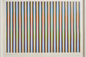 Bridget Riley
