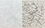 Pelle di marmo e spine dacacia Alma by Giuseppe Penone contemporary artwork Painting