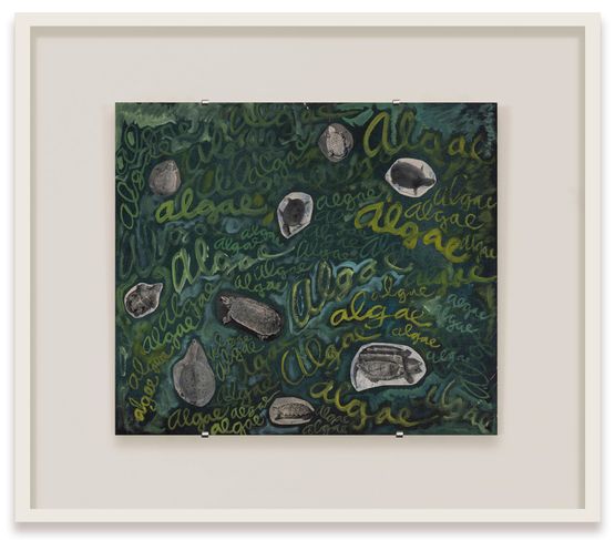 Algae algae by Robert Smithson contemporary artwork Works on Paper