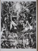 Fenster by Julia Steiner contemporary artwork print