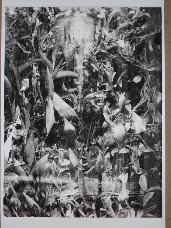 Fenster by Julia Steiner contemporary artwork Print