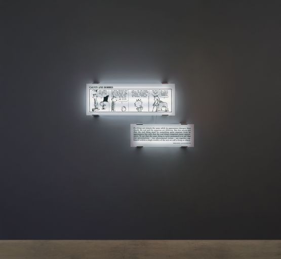 Double Reading 20 by Joseph Kosuth contemporary artwork Sculpture