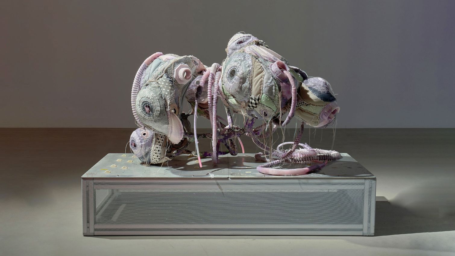 Wang Yuyu