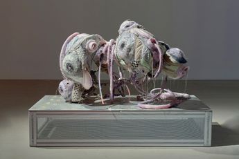 Wang Yuyu contemporary artist
