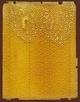 Midada da structura - Bienenwabe 04 recto 3 48 by Mirko Baselgia contemporary artwork print