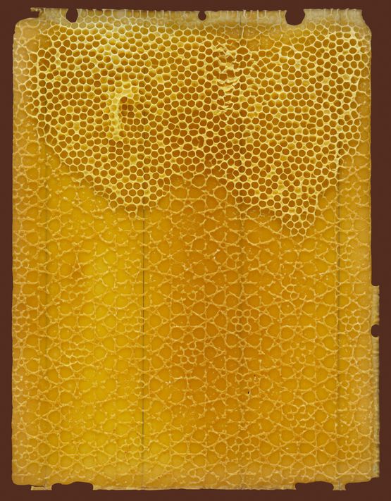 Midada da structura - Bienenwabe 04 recto 3 48 by Mirko Baselgia contemporary artwork Print