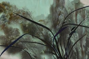 Cody Choi