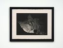 The giant rock by Joyce Campbell contemporary artwork Photography
