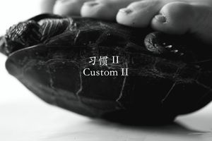 Xu Qu