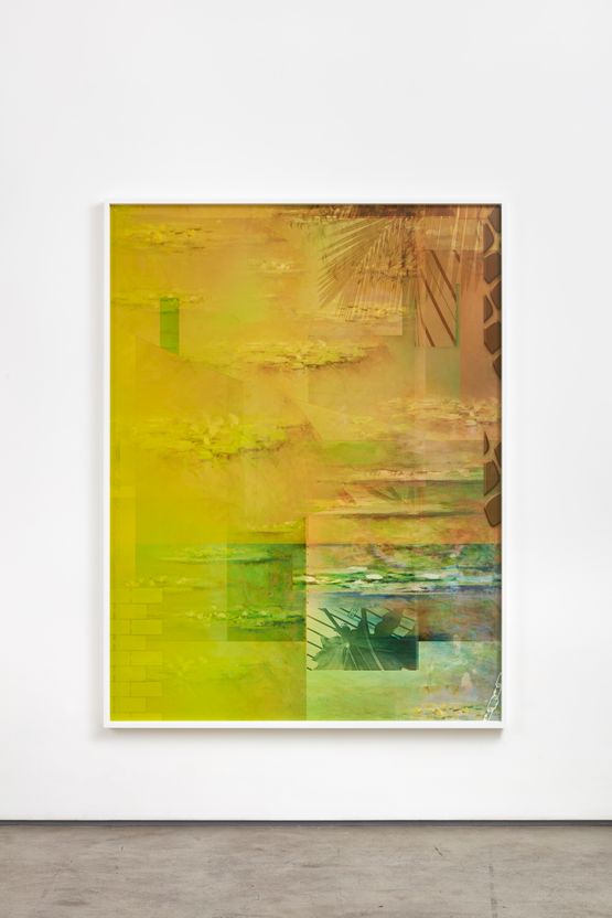 Nymphaea alba by Michele Abeles contemporary artwork Photography