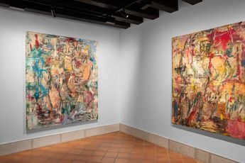 Contemporary art exhibition Daniel Crews-Chubb The Belt of Venus at Patricia Low Contemporary Venezia Italy