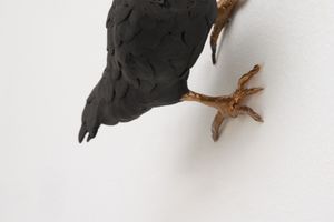 Elizabeth Jaeger
