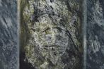 Will Maclean contemporary artist