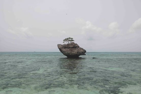 Coral Reef Exposed at Low Tide by Robert Zhao Renhui contemporary artwork Photography