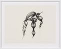 Inseparable Fairy Wren by Patricia Piccinini contemporary artwork Works on Paper