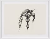 Inseparable Fairy Wren by Patricia Piccinini contemporary artwork drawing works on paper