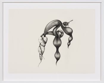 Inseparable Fairy Wren by Patricia Piccinini contemporary artwork drawing works on paper