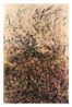 Fiery Ink Suffocating Wildfires by Yuan Hui-Li contemporary artwork Works on Paper