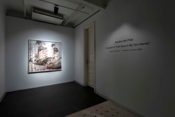 Contemporary art exhibition Sandra del Pilar A highlight of Both Eyes in My Two Hands at Zilberman Dialogues Istanbul Turkiye