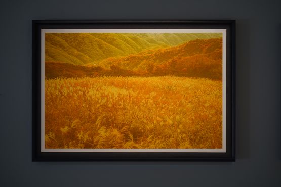 Is of Mt. Jangan by Beak Jungki contemporary artwork Painting