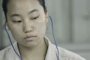 Li Xiaofei
