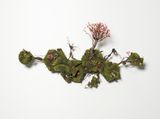 Testosterone by Emeric Chantier contemporary artwork sculpture