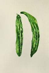 Chichinga by Rathin Barman contemporary artwork works on paper