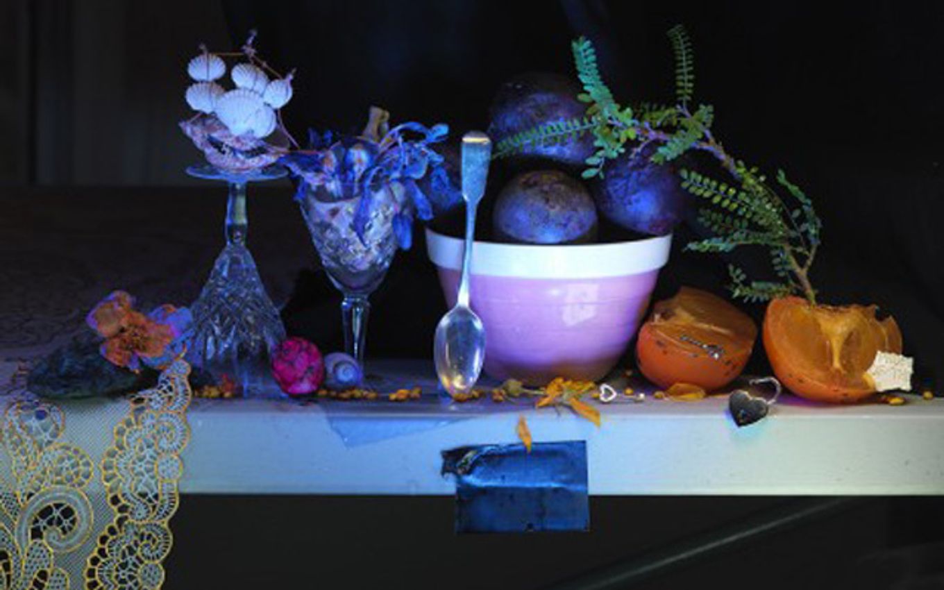 Fiona Pardington