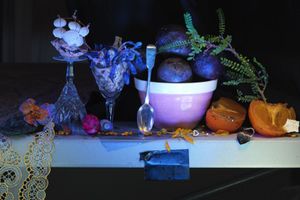 Fiona Pardington