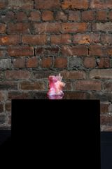 Drowsy Pink by Marco Giordano contemporary artwork sculpture