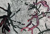 Blooded flowerscape by Pakkiyarajah Pushpakanthan contemporary artwork works on paper