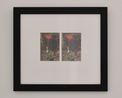 Tulips by Margaret Tait contemporary artwork Photography
