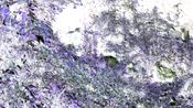 Heartbeat Wind Sways Grass by Chen Xiaoyi contemporary artwork Moving Image