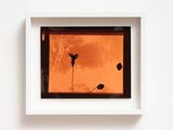 Moorefields London 1986 by Fiona Clark contemporary artwork photography print