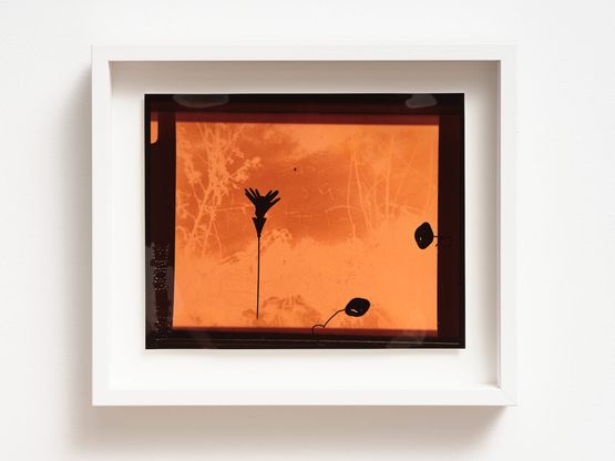 Moorefields London 1986 by Fiona Clark contemporary artwork Photography