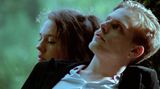 Before Falling Asleep Part 3 - The Fire and the Tree by Cheng Ran contemporary artwork moving image