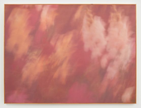 Windswept by Leila Spilman contemporary artwork Photography