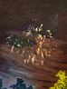 Fading Away by Hao Zecheng contemporary artwork Painting