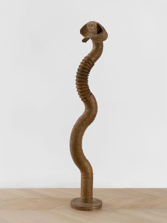 Un serpent nomme desir by Novera Ahmed contemporary artwork Sculpture