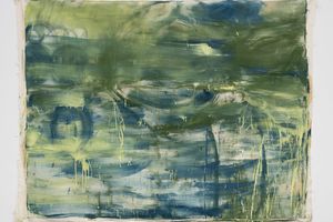 Vivian Suter
