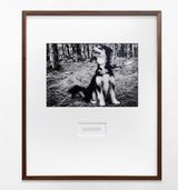 Howling dog by Maruch Santiz Gomez contemporary artwork print
