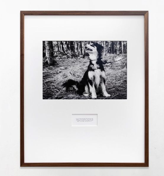 Howling dog by Maruch Santiz Gomez contemporary artwork Print