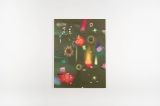 Training Landscapes NO. 29 - A sparkle a flourish the topic is spun And suddenly were talking about the sun by Miao Ying contemporary artwork painting